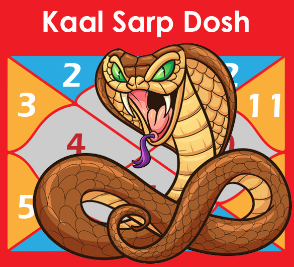 Kaal Sarp Dosh Yog